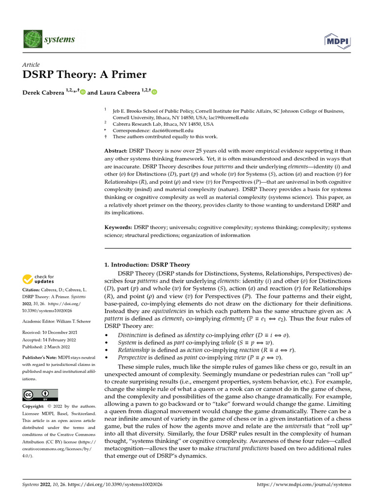 DSRP Theory Explained: A Primer | PDF | Mind | Theory