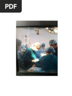 Download Genetics of Blood by peterr1022 SN88865338 doc pdf