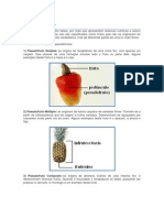 Pseudofrutos e classificação de frutos