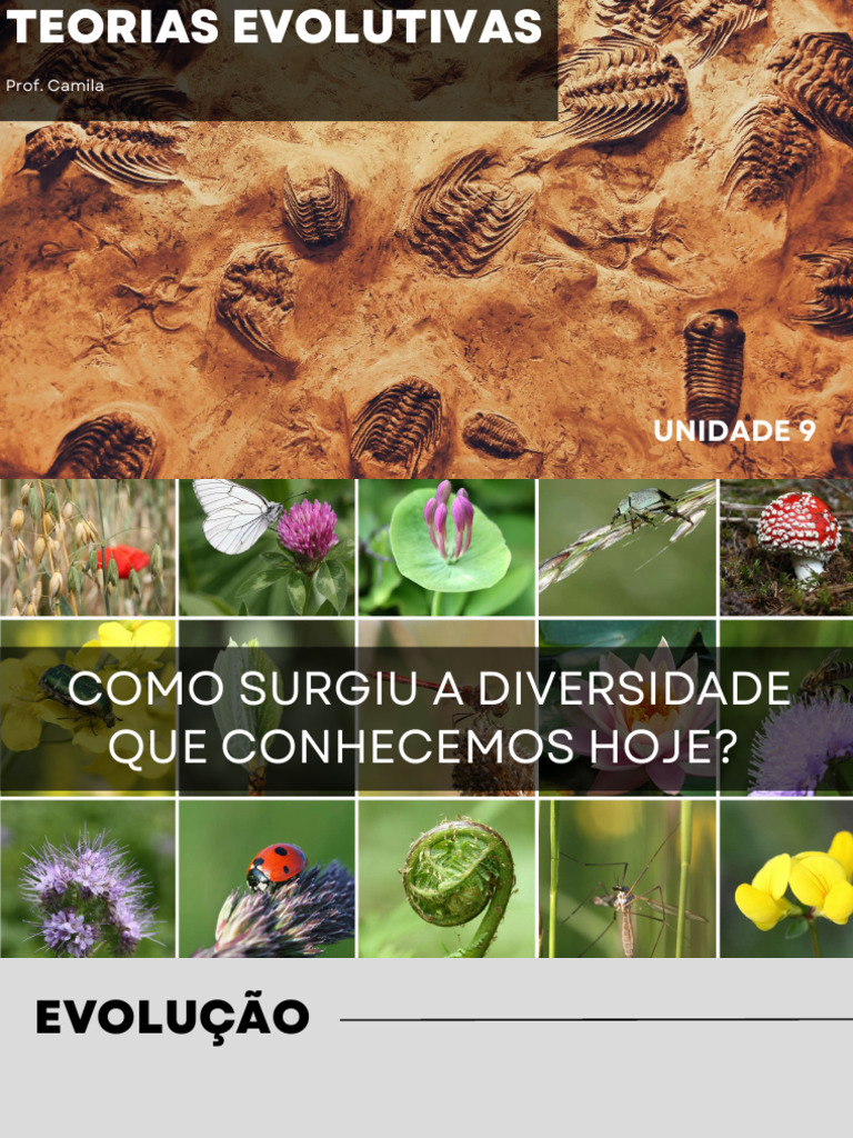 Teorias Evolutivas | PDF | Evolução | Seleção natural