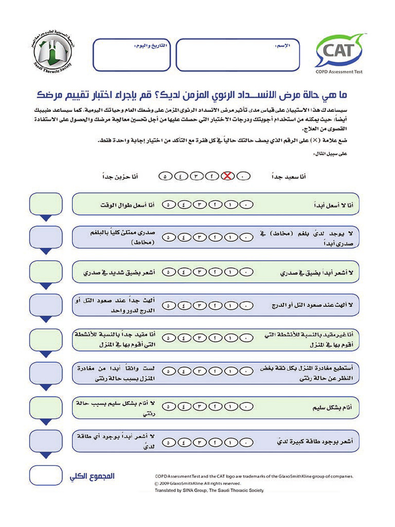 COPD Assessment Test CAT Arabic | PDF
