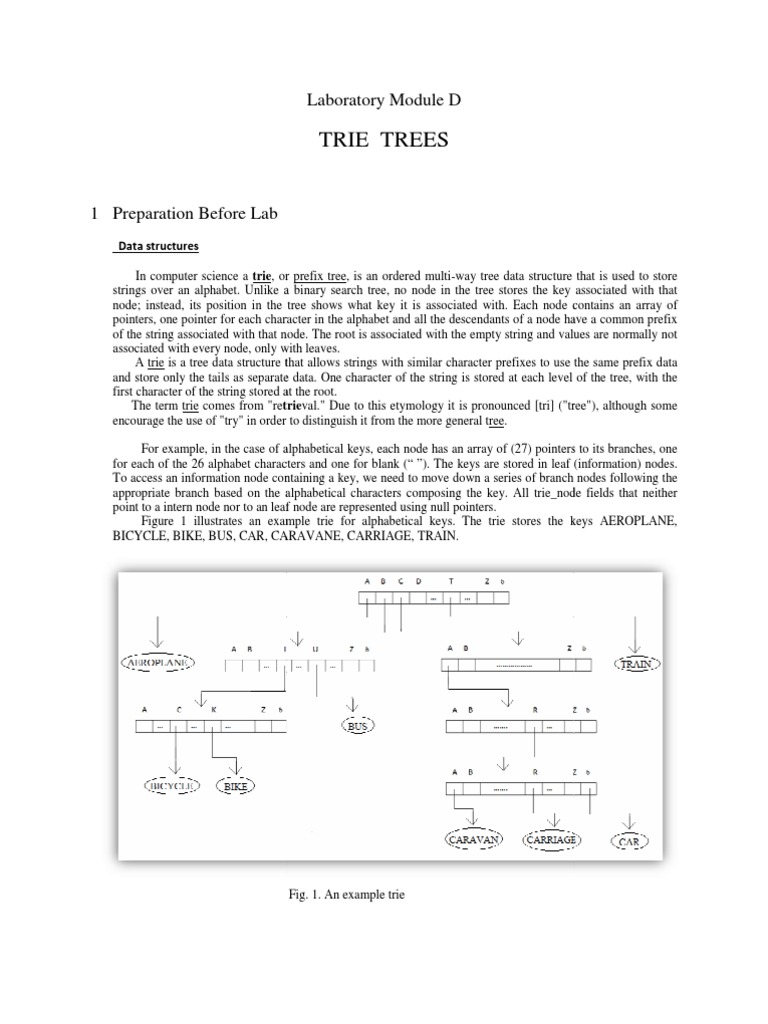 Trie | PDF | Computer Programming | Computer Data