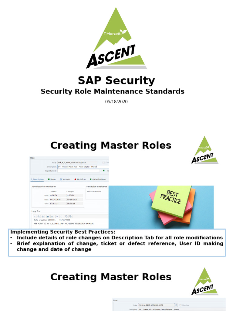 SAP Role Maintenance Standards | PDF | Computing | Software