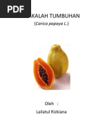 Download MAKALAH TUMBUHAN by Auliya Rahmawati SN88872378 doc pdf