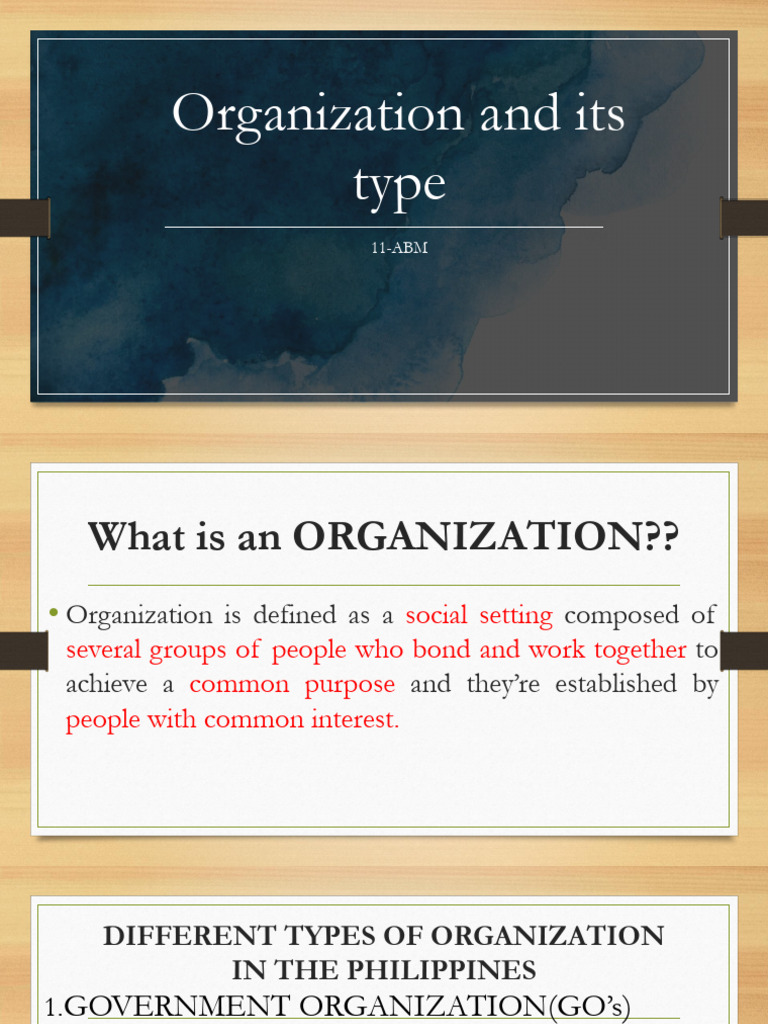 Types of Organizations in the Philippines | PDF