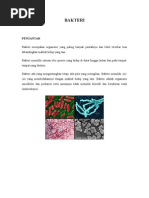 Download MAKALAH BAKTERI by Jems Sipil SN88875683 doc pdf