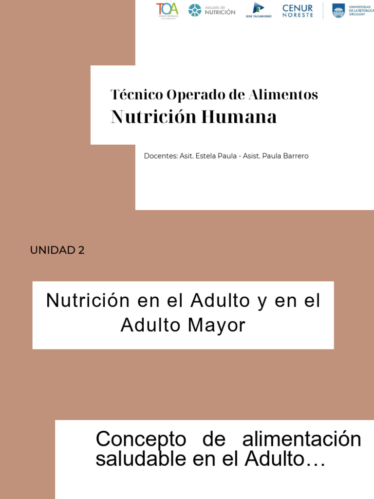 Alimentacion en Ella Adulto y Adulto Mayor | PDF | Tejido adiposo ...