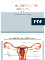 4. Sistema Reprodutor Feminino
