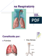 Sistema Respiratório