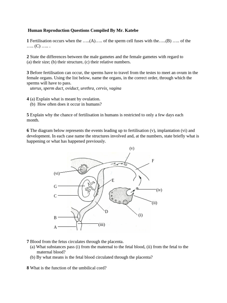 Human Reproduction Questions Compiled by Mr | PDF | Human Reproduction ...