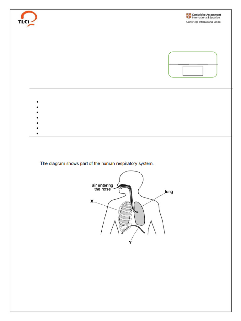 Grade 7 Science Term 1 Exam Guide | PDF | Atoms | Blood