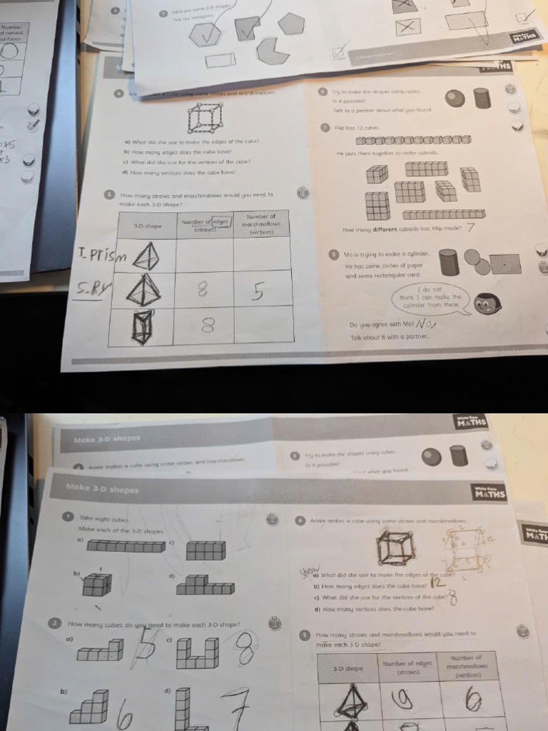 White Rose Shape Worksheet Complete | PDF
