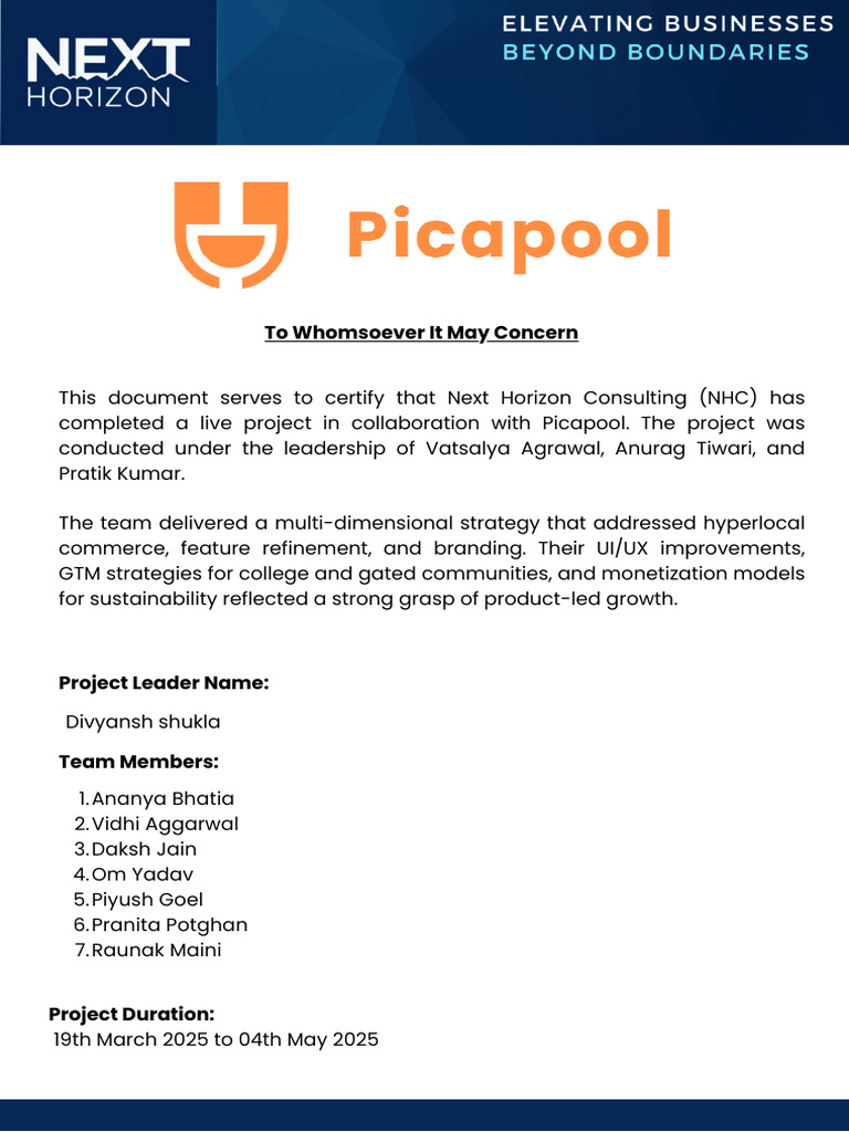 NHC-Picapool Project Overview and Strategy | PDF | Marketing Strategy ...