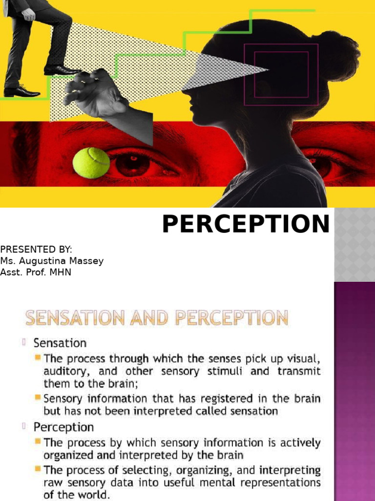 Understanding Perception in Psychology | PDF