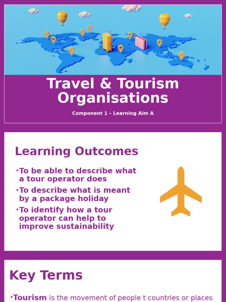 Understanding Tour Operators in Tourism | PDF | Tourism | Travel Agency