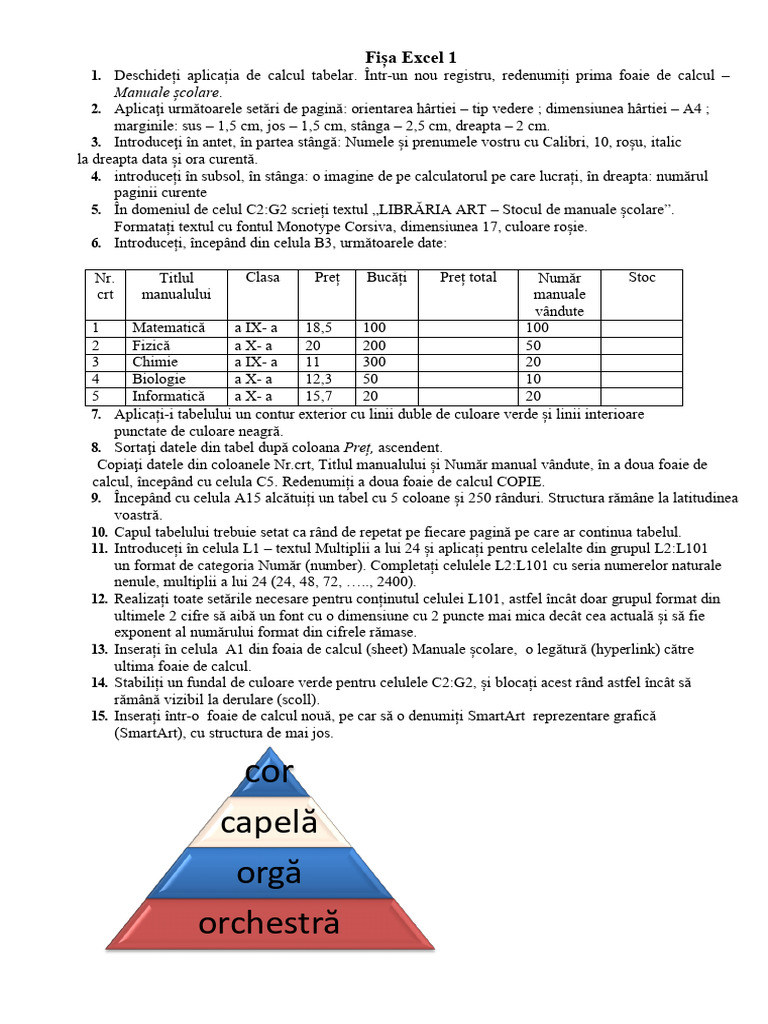Fisa Excel 1 | PDF