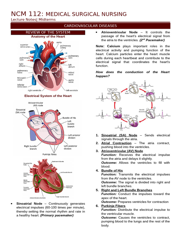 Cardiovascular Diseases Lecture Notes | PDF | Myocardial Infarction | Heart