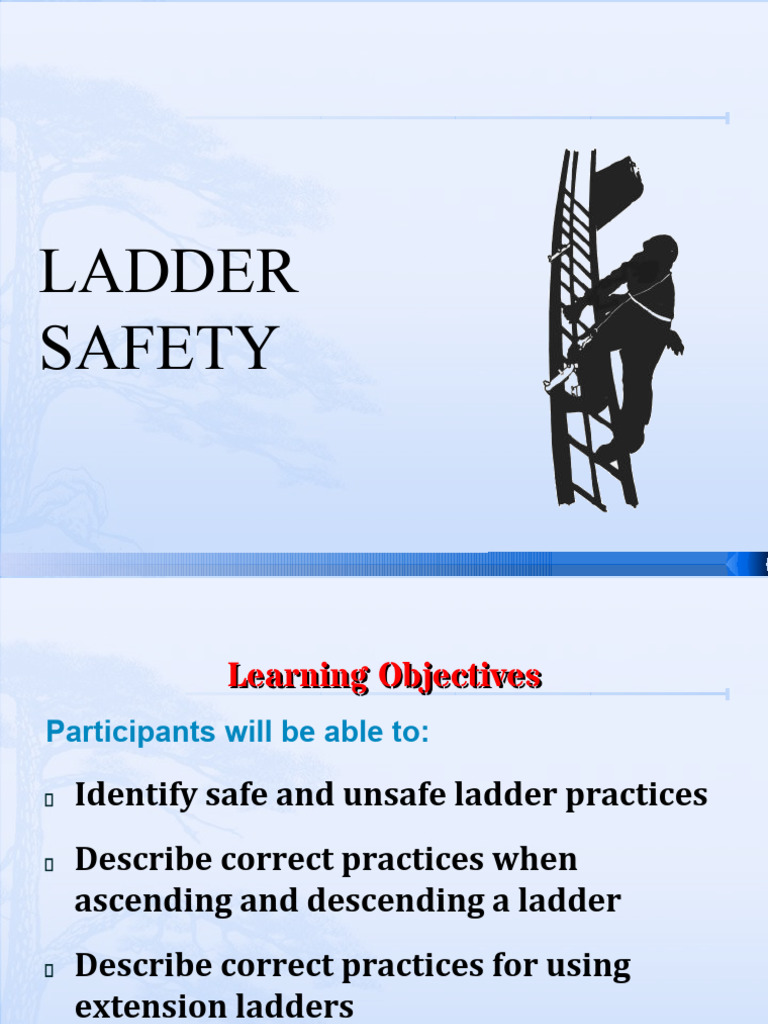 Essential Ladder Safety Guidelines | PDF | Ladder