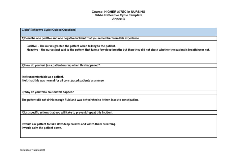 Gibbs Reflective Cycle for Nursing Practice | PDF