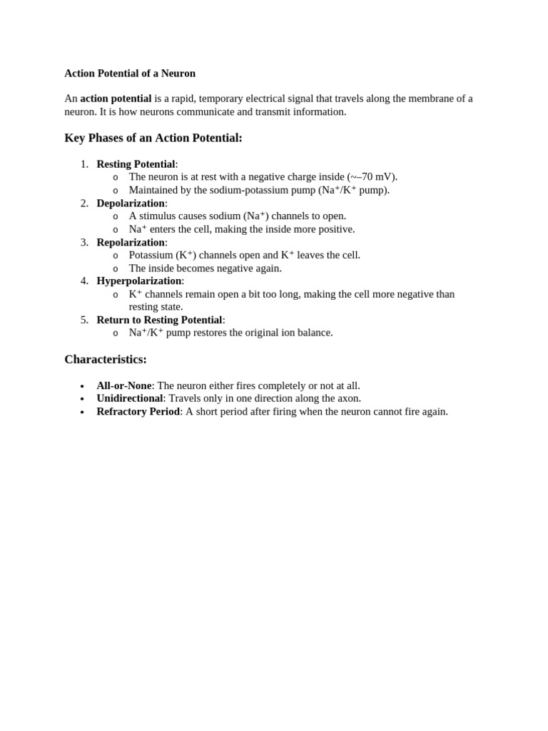 Action Potential | PDF