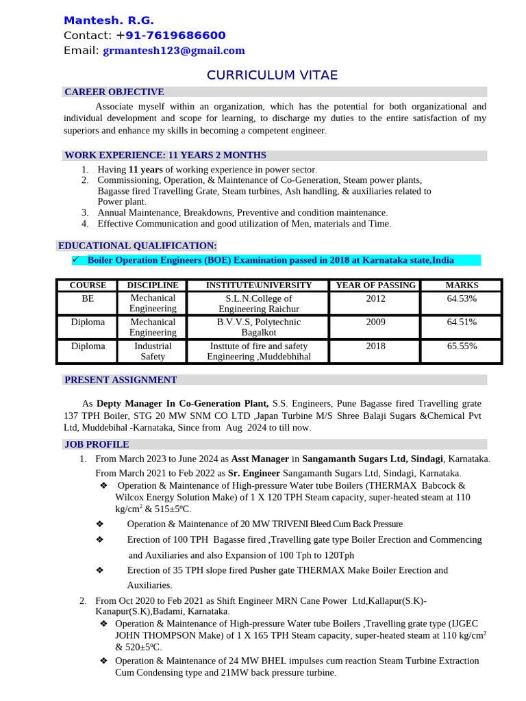 Mantesh R.G. - Power Sector CV | PDF | Steam | Boiler