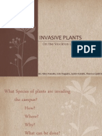 Invasive Plants: On The Stockton Campus