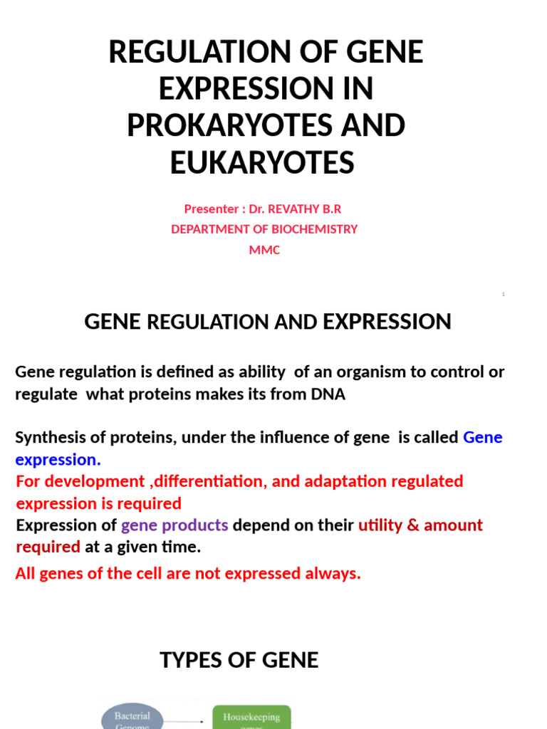 Gene Expression Regulation Overview | PDF | Operon | Repressor