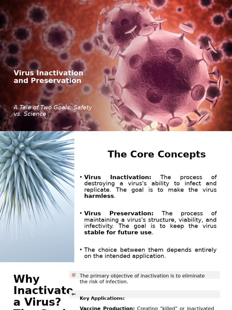 Virus Inactivation vs. Preservation Methods | PDF | Virus | Vaccines