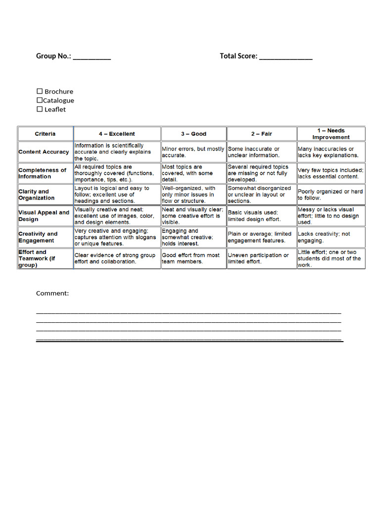 Rubric For Brochure | PDF
