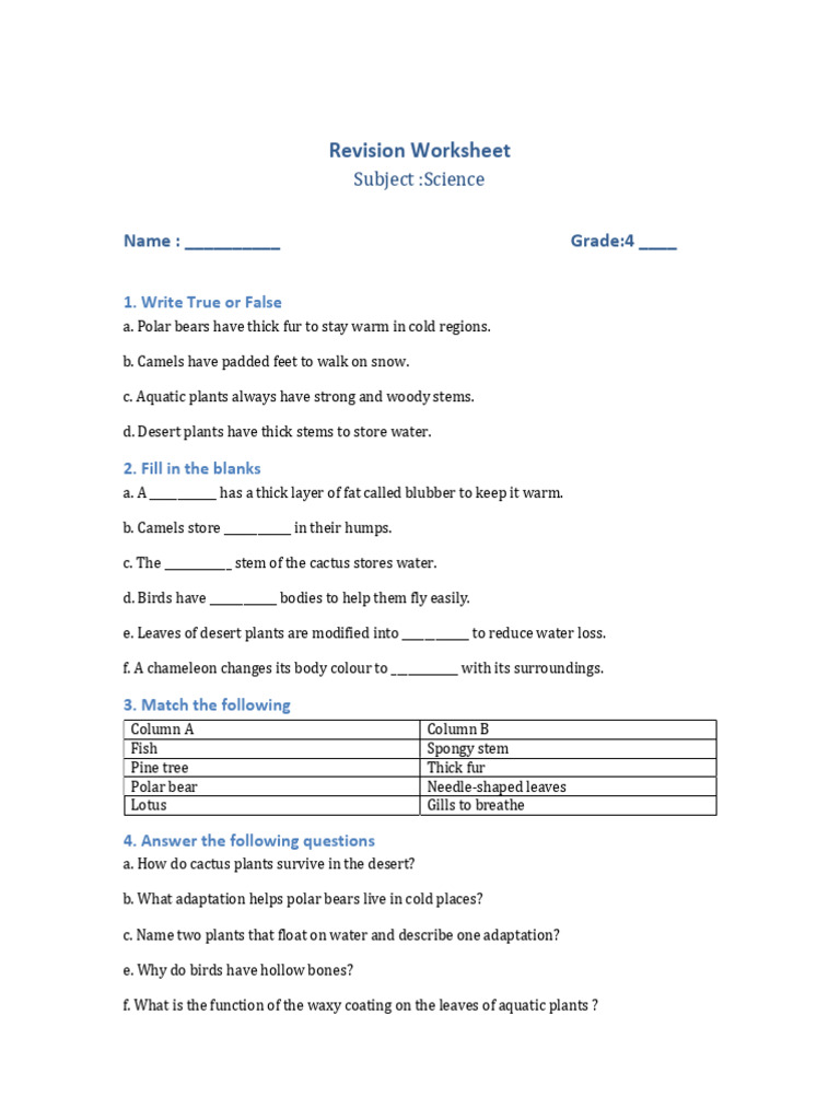 4th Grade Science Revision Worksheet | PDF
