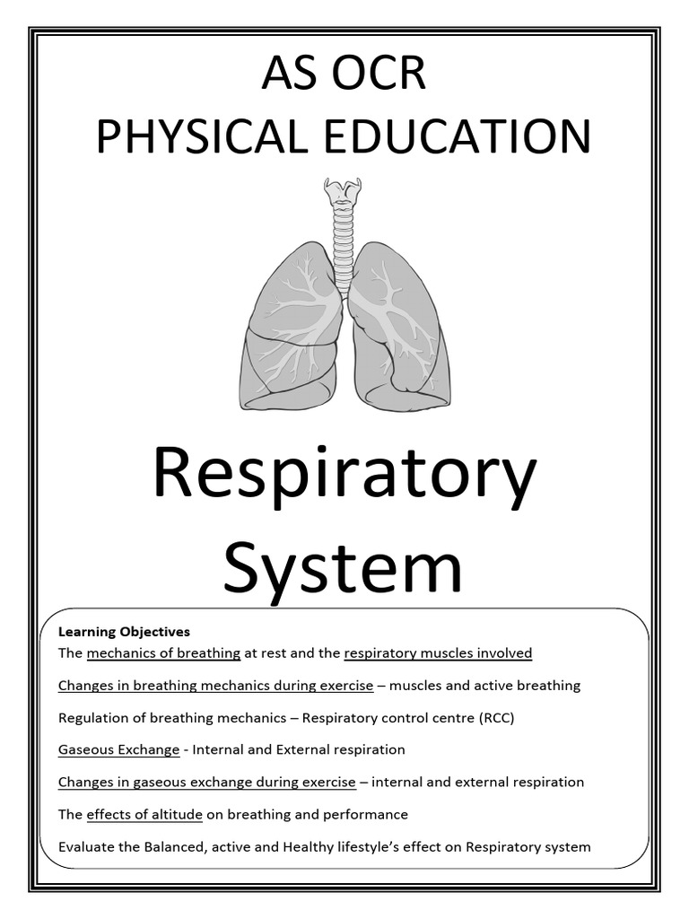 Understanding the Respiratory System | PDF | Breathing | Respiratory System