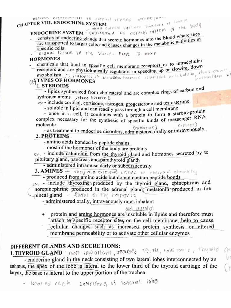 Document 42 | PDF