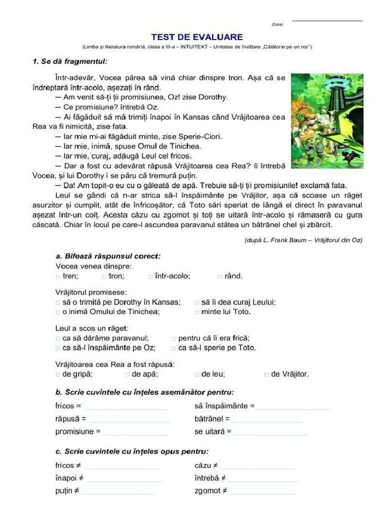 Evaluare Finala LLR - Clasa 3.1 | PDF