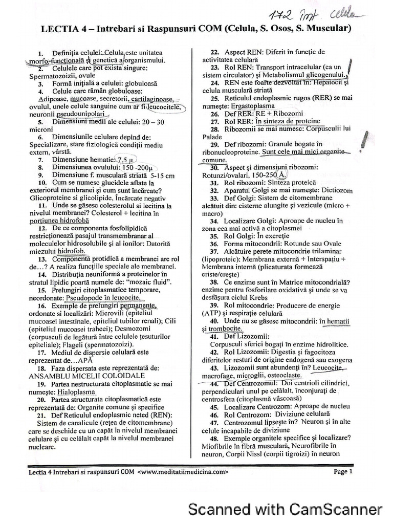 Test 4 + Rasp Celula | PDF