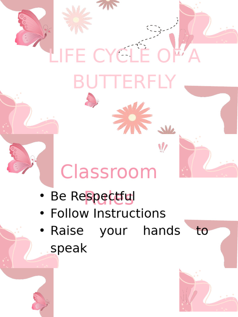 Butterfly Life Cycle Comic Strip Guide | PDF