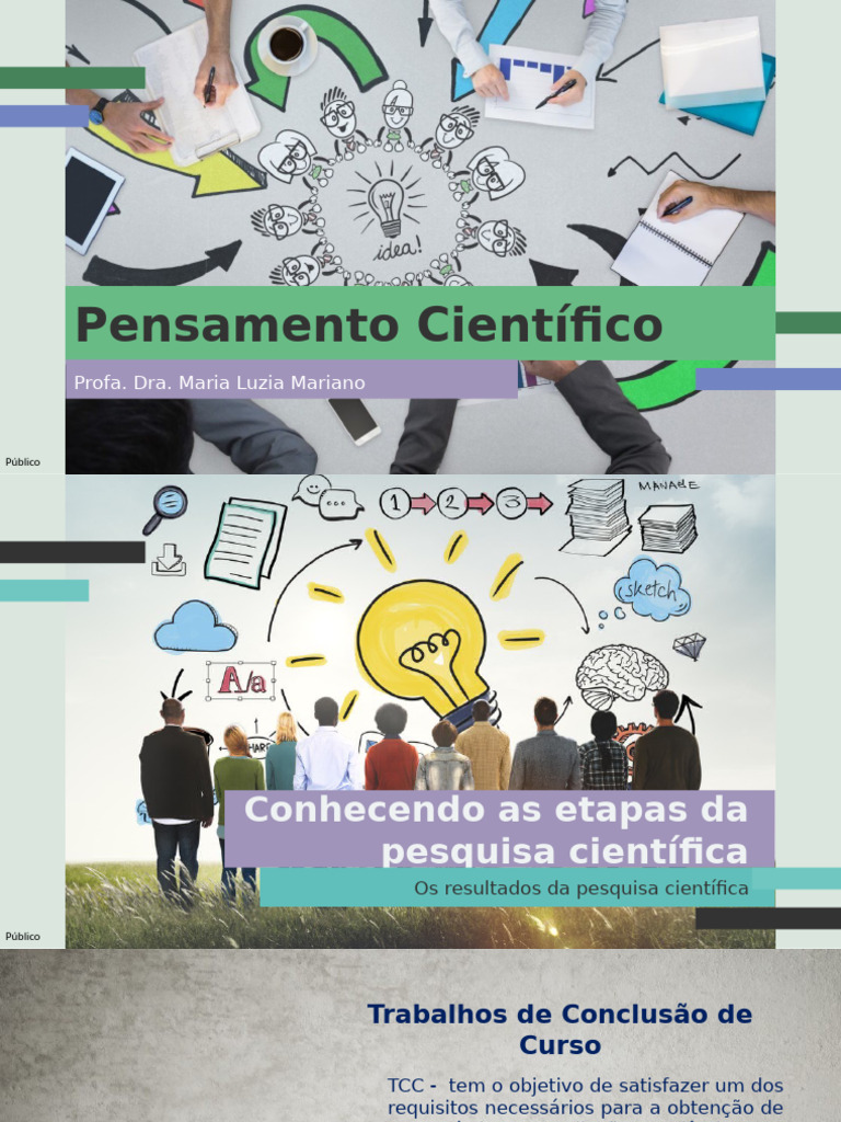 Etapas da Pesquisa Científica e TCC | PDF | Teoria | Método científico