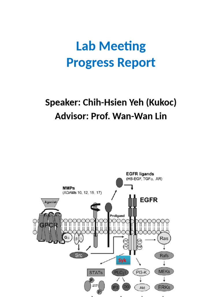 Lab Meeting 20140603 | PDF | Life Sciences | Cellular Processes
