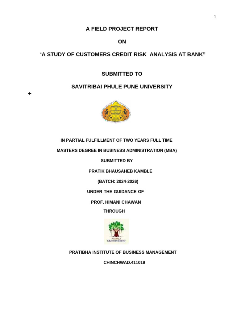 Credit Risk Analysis in Banking Study | PDF | Risk | Credit Risk