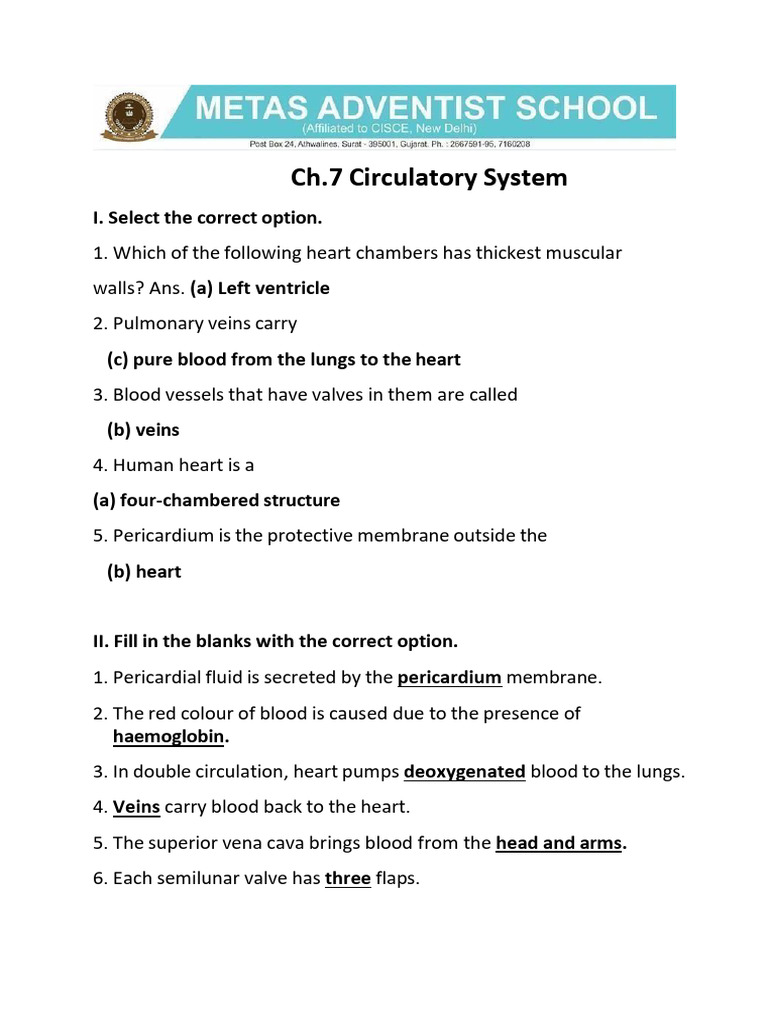 Ch. 7 Circulatory System | PDF | Circulatory System | Heart