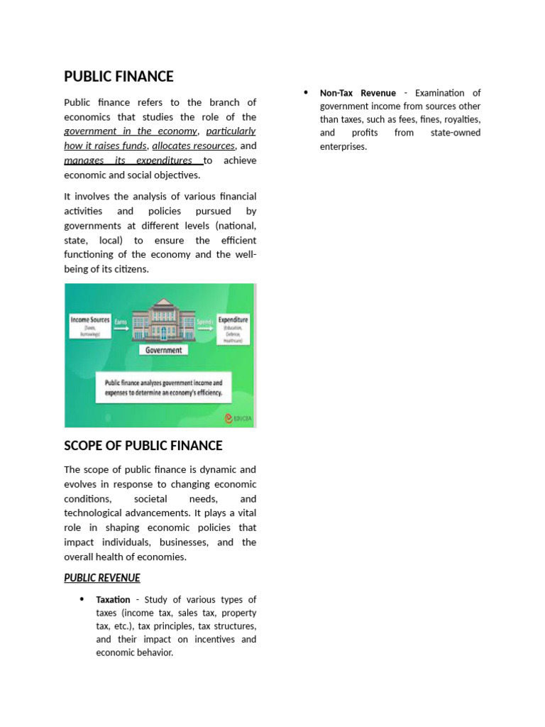 Public Finance Notes | PDF