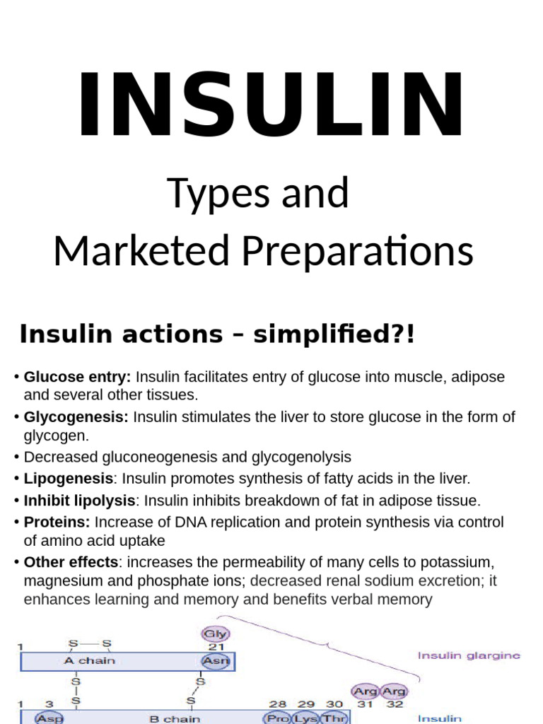 Classification of Insulin Preparations | PDF | Insulin | Biomolecules