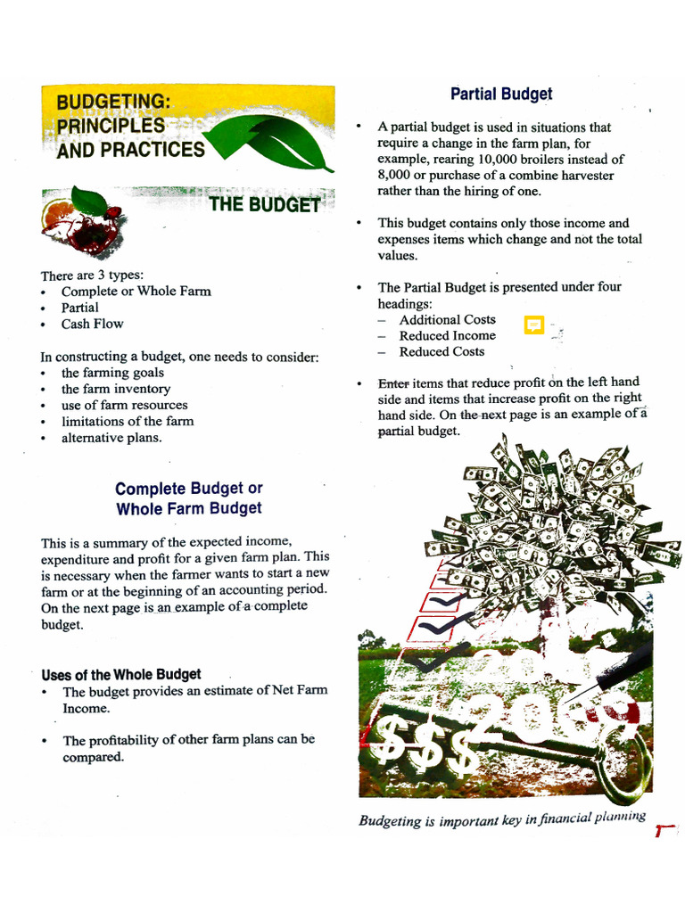 View of Farm Budgeting | PDF