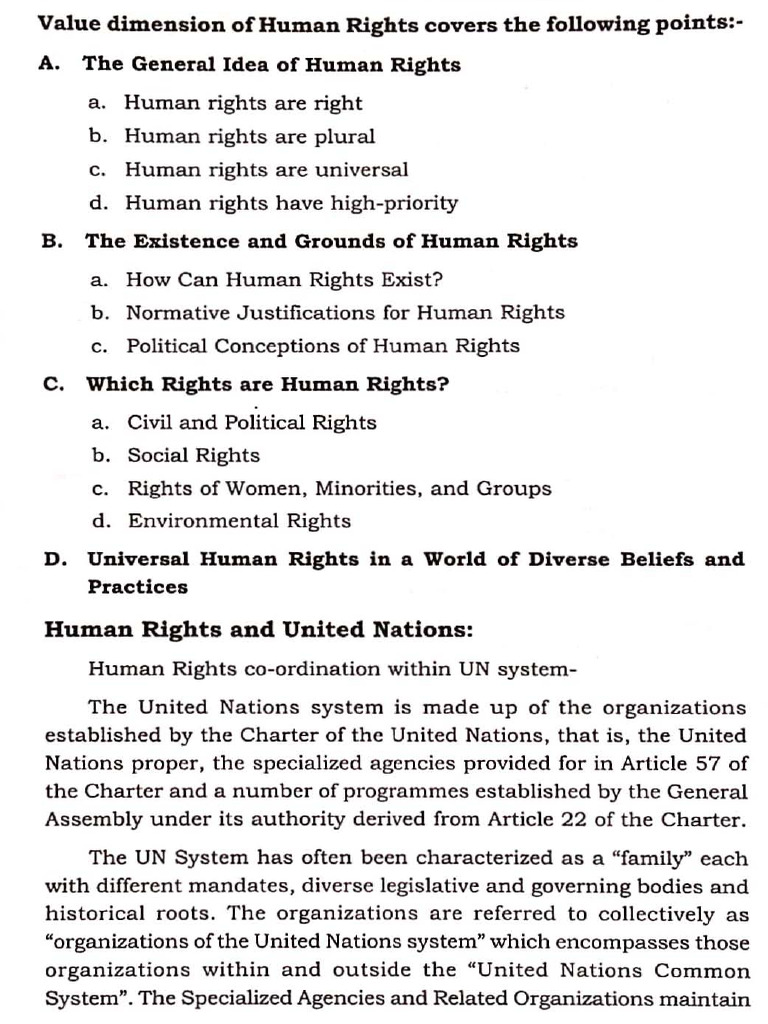 08 Human Rights and United Nations | PDF | United Nations ...