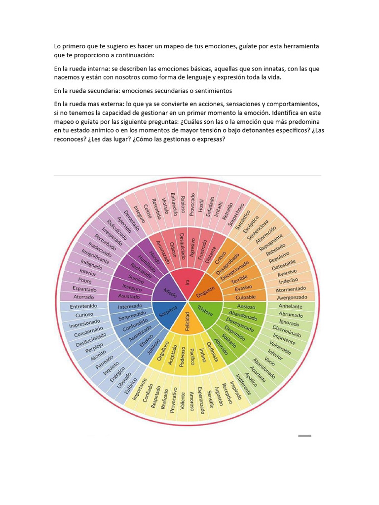 Mapeo de Emociones y Gestión Personal | PDF
