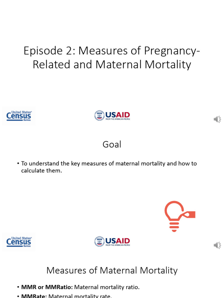 Understanding Maternal Mortality Metrics | PDF | Maternal Death ...