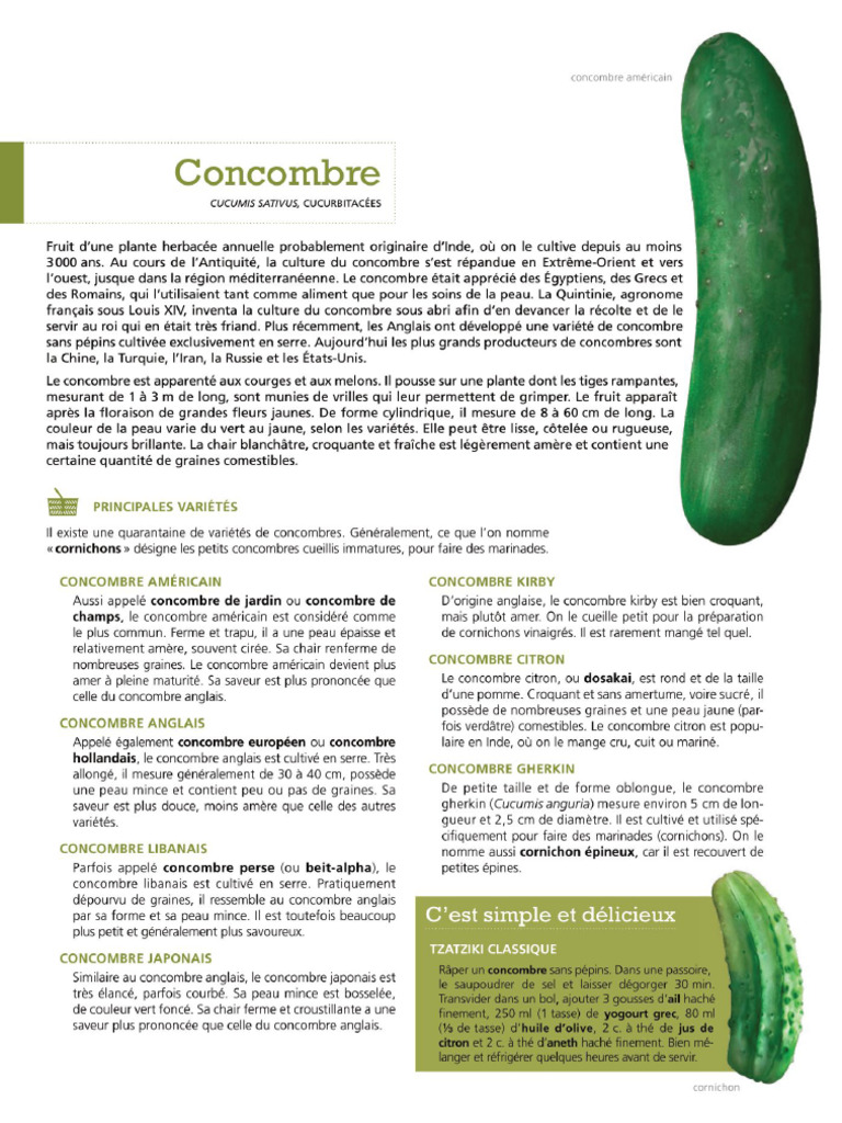 Sitemapcdatahttpsnoykniqoocomtuteur Concombre Bambounull