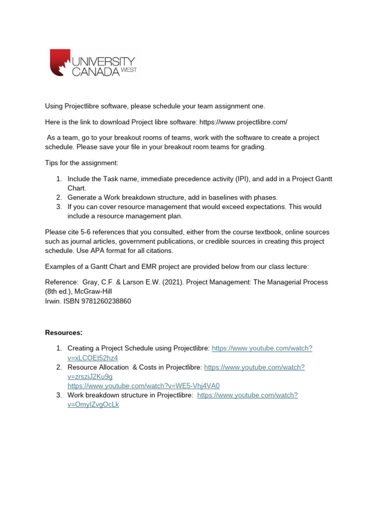 MGMT 640 Project Schedule Guide | PDF