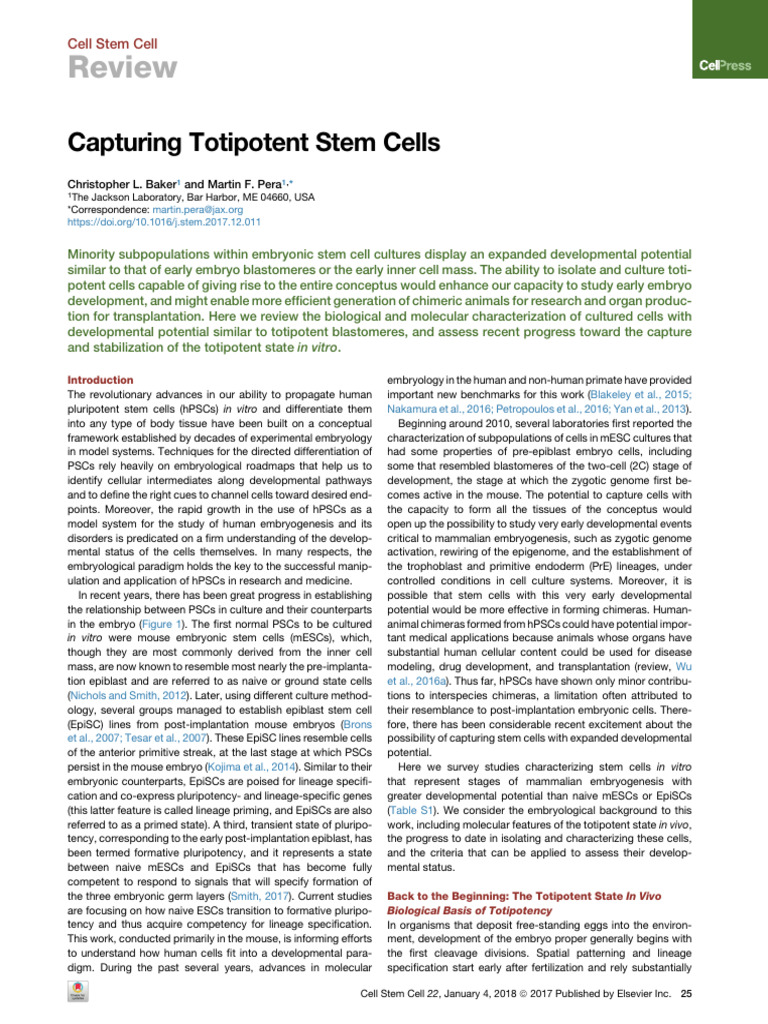 Capturing Totipotent Stem Cells Review | PDF | Cell Potency | Embryonic ...