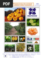 Download Apostila Curso Citrus by Antnio Carlos Marins SN88914853 doc pdf
