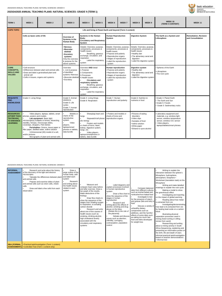 Grade 9 Natural Sciences ATP 2025 | PDF | Chemical Reactions | Voltage